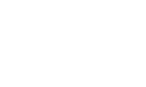ViSenze